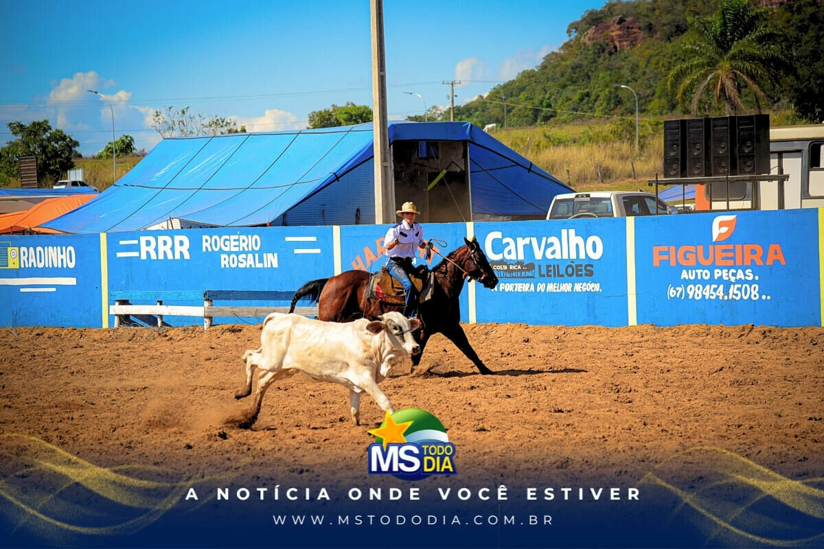Imagem da Galeria